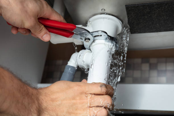 Best Professional water damage repair  in Braidwood, IL