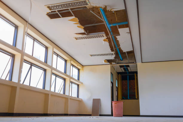 Best Flood damage cleanup  in Braidwood, IL