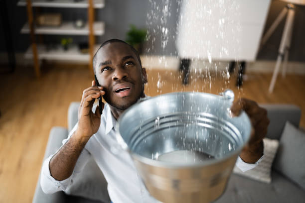 Best Emergency water extraction  in Braidwood, IL
