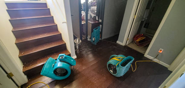 Best Flood restoration services  in Braidwood, IL