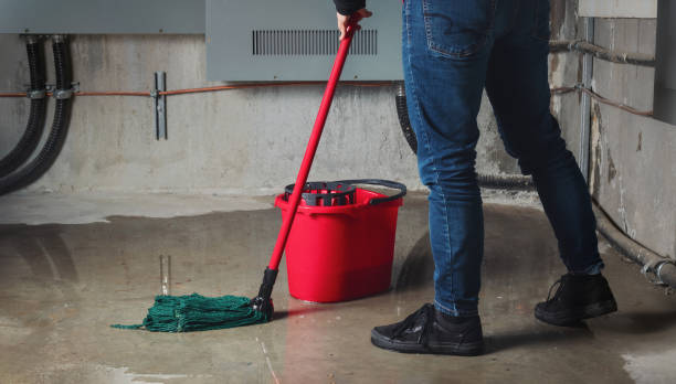 Best Flood damage cleanup  in Braidwood, IL