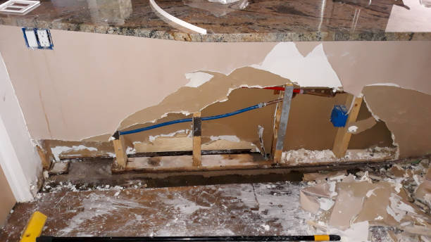 Best Flooded house restoration  in Braidwood, IL