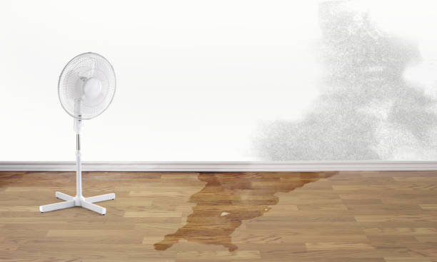 Professional Water damage restoration in Braidwood, IL