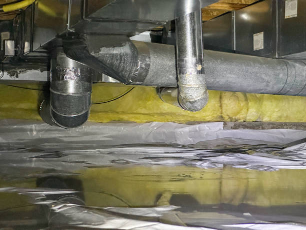 Best Carpet water damage restoration  in Braidwood, IL