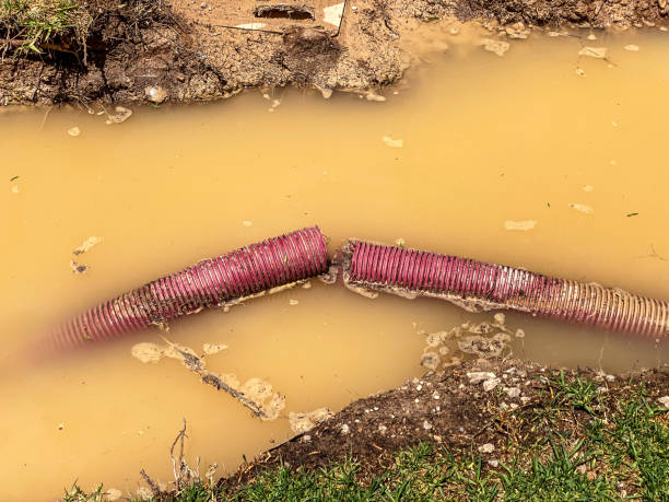 Best Fire Damage Restoration  in Braidwood, IL